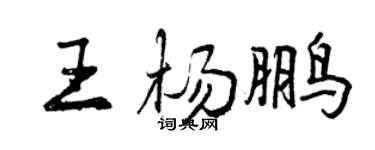 曾庆福王杨鹏行书个性签名怎么写