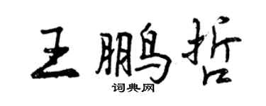 曾庆福王鹏哲行书个性签名怎么写