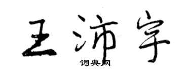 曾庆福王沛宇行书个性签名怎么写