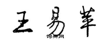 曾庆福王易苹行书个性签名怎么写