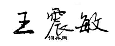 曾庆福王震敏行书个性签名怎么写