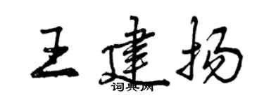 曾庆福王建扬行书个性签名怎么写