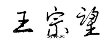 曾庆福王宗望行书个性签名怎么写