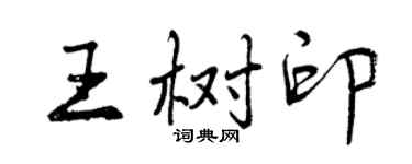曾庆福王树印行书个性签名怎么写
