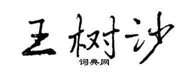 曾庆福王树沙行书个性签名怎么写