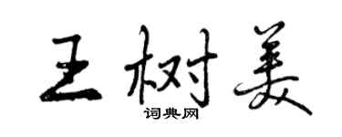 曾庆福王树美行书个性签名怎么写