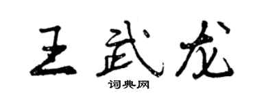 曾庆福王武龙行书个性签名怎么写