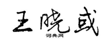 曾庆福王晓或行书个性签名怎么写