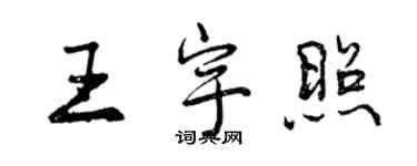 曾庆福王宇照行书个性签名怎么写
