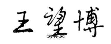 曾庆福王望博行书个性签名怎么写