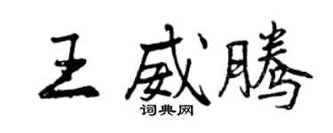 曾庆福王威腾行书个性签名怎么写