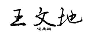 曾庆福王文地行书个性签名怎么写