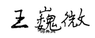 曾庆福王巍微行书个性签名怎么写