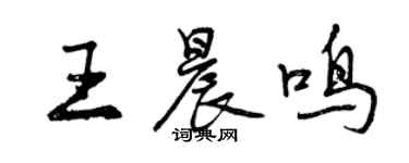 曾庆福王晨鸣行书个性签名怎么写