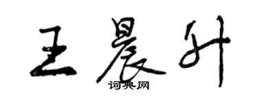曾庆福王晨升行书个性签名怎么写