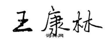 曾庆福王康林行书个性签名怎么写