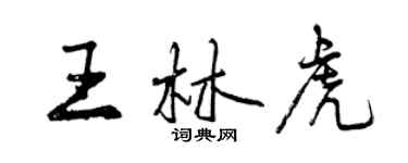 曾庆福王林虎行书个性签名怎么写