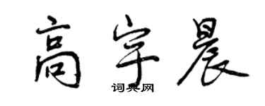 曾庆福高宇晨行书个性签名怎么写