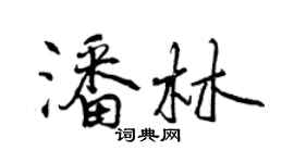 曾庆福潘林行书个性签名怎么写