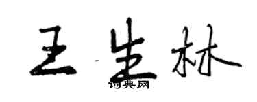 曾庆福王生林行书个性签名怎么写