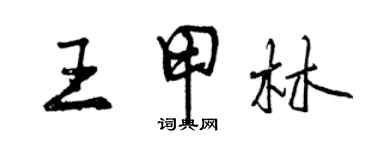 曾庆福王甲林行书个性签名怎么写