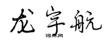 曾庆福龙宇航行书个性签名怎么写