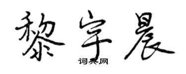 曾庆福黎宇晨行书个性签名怎么写