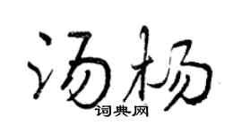 曾庆福汤杨行书个性签名怎么写