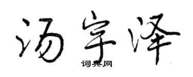 曾庆福汤宇泽行书个性签名怎么写