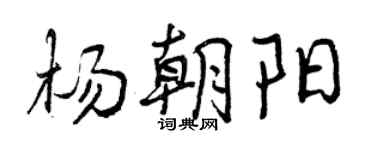 曾庆福杨朝阳行书个性签名怎么写