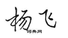 骆恒光杨飞行书个性签名怎么写