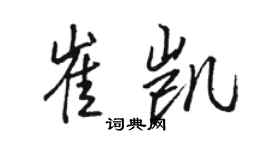 骆恒光崔凯行书个性签名怎么写