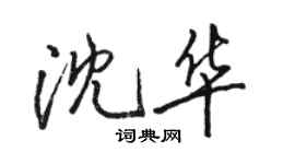 骆恒光沈华行书个性签名怎么写
