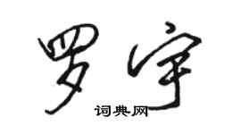 骆恒光罗宇行书个性签名怎么写