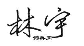 骆恒光林宇行书个性签名怎么写