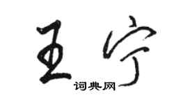 骆恒光王宁行书个性签名怎么写