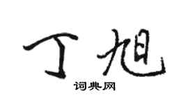 骆恒光丁旭行书个性签名怎么写