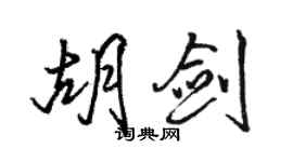 骆恒光胡剑行书个性签名怎么写