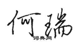 骆恒光何瑞行书个性签名怎么写