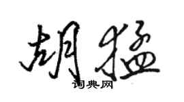 骆恒光胡猛行书个性签名怎么写