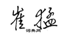 骆恒光崔猛行书个性签名怎么写