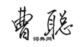 骆恒光曹聪行书个性签名怎么写
