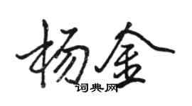 骆恒光杨金行书个性签名怎么写