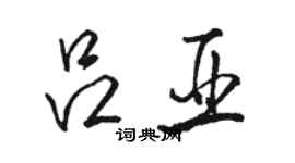 骆恒光吕亚行书个性签名怎么写