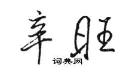 骆恒光辛旺行书个性签名怎么写