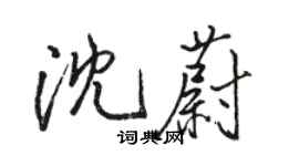 骆恒光沈蔚行书个性签名怎么写