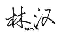 骆恒光林汉行书个性签名怎么写