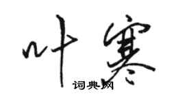 骆恒光叶寒行书个性签名怎么写