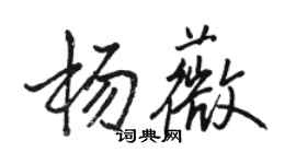 骆恒光杨薇行书个性签名怎么写