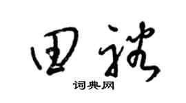梁锦英田裕草书个性签名怎么写